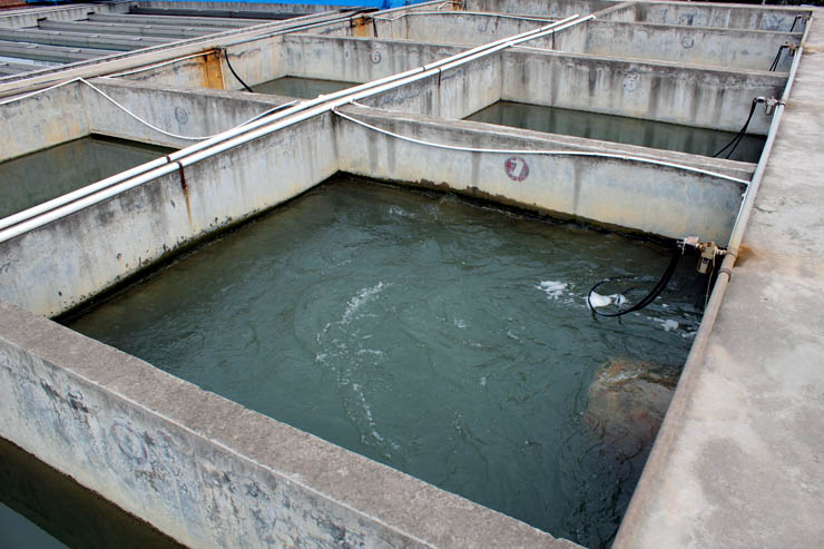 水廠主進(jìn)水池